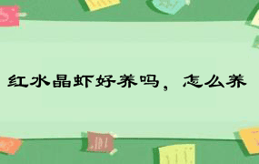 红水晶虾好养吗，怎么养