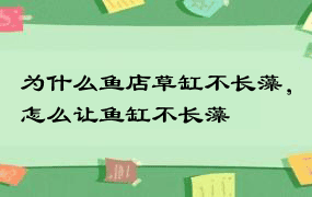 为什么鱼店草缸不长藻，怎么让鱼缸不长藻