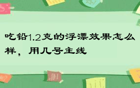 吃铅1.2克的浮漂效果怎么样，用几号主线