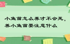 小鱼苗怎么养才不会死，养小鱼苗要注意什么