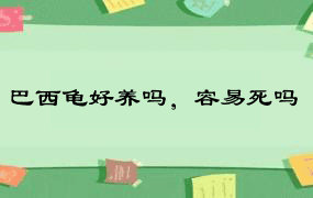 巴西龟好养吗，容易死吗