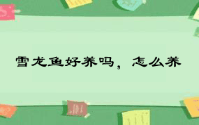 雪龙鱼好养吗，怎么养