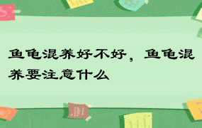 鱼龟混养好不好，鱼龟混养要注意什么