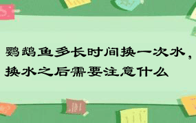 鹦鹉鱼多长时间换一次水，换水之后需要注意什么