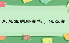 凤尾短鲷好养吗，怎么养