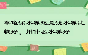 草龟深水养还是浅水养比较好，用什么水养好