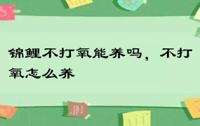 锦鲤不打氧能养吗，不打氧怎么养