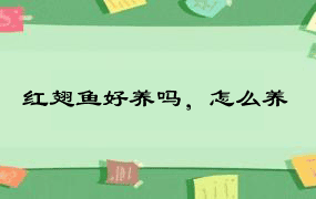 红翅鱼好养吗，怎么养