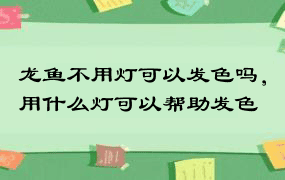 龙鱼不用灯可以发色吗，用什么灯可以帮助发色