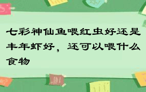 七彩神仙鱼喂红虫好还是丰年虾好，还可以喂什么食物