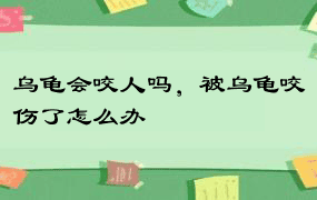 乌龟会咬人吗，被乌龟咬伤了怎么办