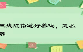 三线红铅笔好养吗，怎么养