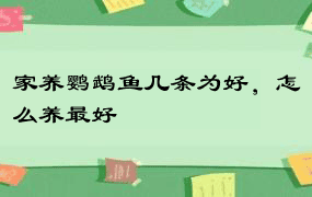 家养鹦鹉鱼几条为好，怎么养最好