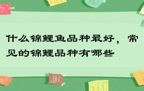 什么锦鲤鱼品种最好，常见的锦鲤品种有哪些