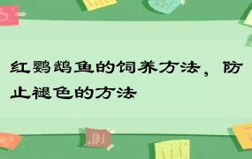 红鹦鹉鱼的饲养方法，防止褪色的方法