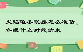 火焰龟冬眠要怎么准备，冬眠什么时候结束