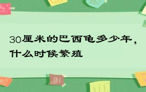 30厘米的巴西龟多少年，什么时候繁殖