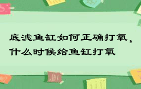 底滤鱼缸如何正确打氧，什么时候给鱼缸打氧