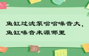 鱼缸过滤泵嗡嗡噪音大，鱼缸噪音来源哪里