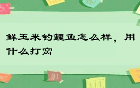 鲜玉米钓鲤鱼怎么样，用什么打窝