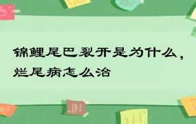 锦鲤尾巴裂开是为什么，烂尾病怎么治