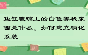 鱼缸玻璃上的白色雾状东西是什么，如何建立硝化系统