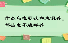 什么乌龟可以和鱼混养，哪些龟不能群养