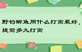 野钓鲫鱼用什么打窝最好，提前多久打窝