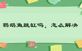 鹦鹉鱼跳缸吗，怎么解决