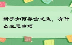 新手如何养金龙鱼，有什么注意事项