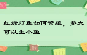 红绿灯鱼如何繁殖，多大可以生小鱼