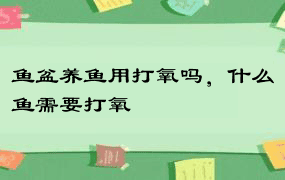 鱼盆养鱼用打氧吗，什么鱼需要打氧