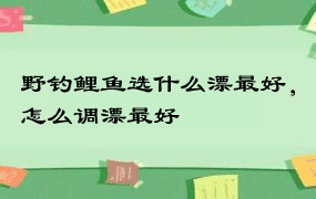 野钓鲤鱼选什么漂最好，怎么调漂最好