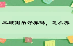 耳斑倒吊好养吗，怎么养