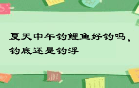 夏天中午钓鲤鱼好钓吗，钓底还是钓浮