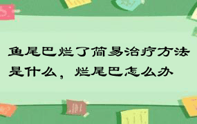 鱼尾巴烂了简易治疗方法是什么，烂尾巴怎么办