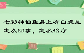 七彩神仙鱼身上有白点是怎么回事，怎么治疗