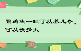 鹦鹉鱼一缸可以养几条，可以长多大