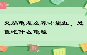 火焰龟怎么养才能红，发色吃什么龟粮