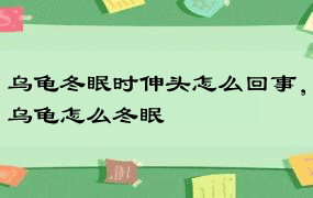 乌龟冬眠时伸头怎么回事，乌龟怎么冬眠