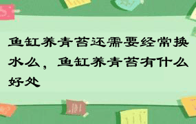 鱼缸养青苔还需要经常换水么，鱼缸养青苔有什么好处