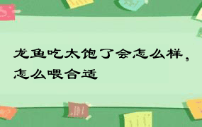 龙鱼吃太饱了会怎么样，怎么喂合适