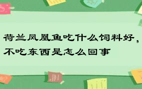 荷兰凤凰鱼吃什么饲料好，不吃东西是怎么回事