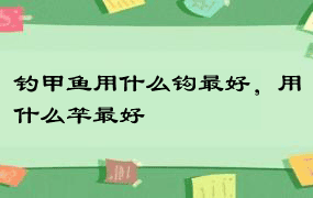 钓甲鱼用什么钩最好，用什么竿最好