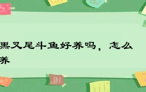 黑叉尾斗鱼好养吗，怎么养