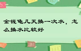 金钱龟几天换一次水，怎么换水比较好