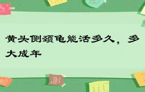 黄头侧颈龟能活多久，多大成年