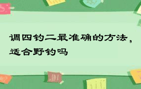 调四钓二最准确的方法，适合野钓吗