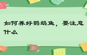 如何养好鹦鹉鱼，要注意什么