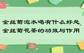 金丝菊泡水喝有什么好处_金丝菊花茶的功效与作用